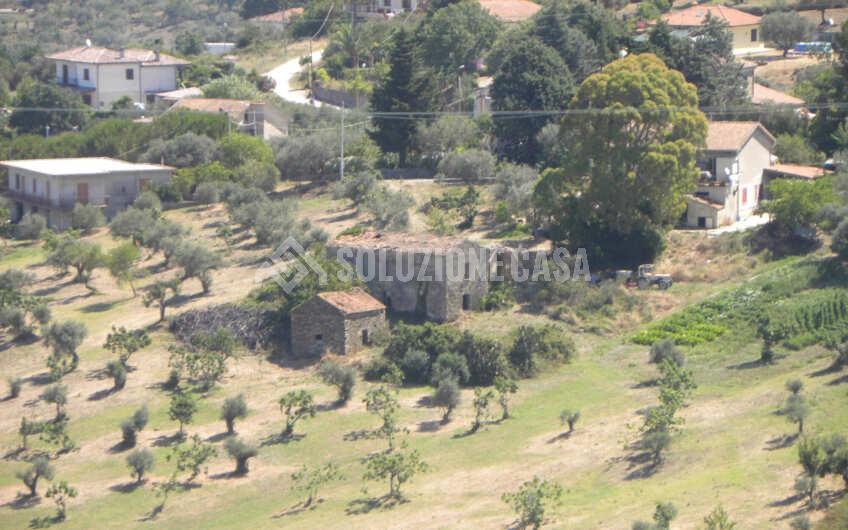 SC1348 Casolari con terreno alla contrada Noce Bassa tra Castellabate e Perdifumo