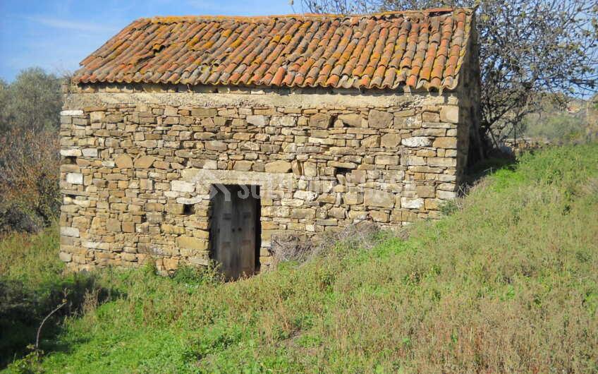 SC1348 Casolari con terreno alla contrada Noce Bassa tra Castellabate e Perdifumo