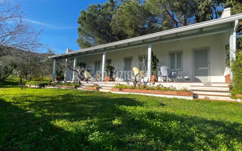 SC1269/B struttura b&b e ristorante con giadino in gestione a San Marco di Castellabate